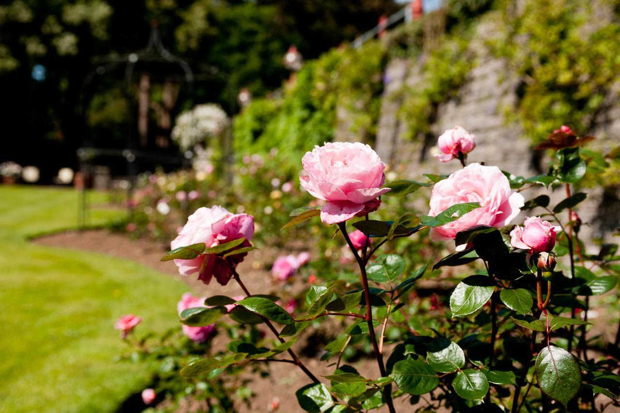 Miskin Manor Hotel Hensol Dış mekan fotoğraf